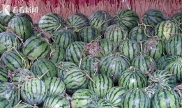 51热门大瓜今日大瓜